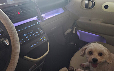casper-best-review-2nd-2-250425.jpg